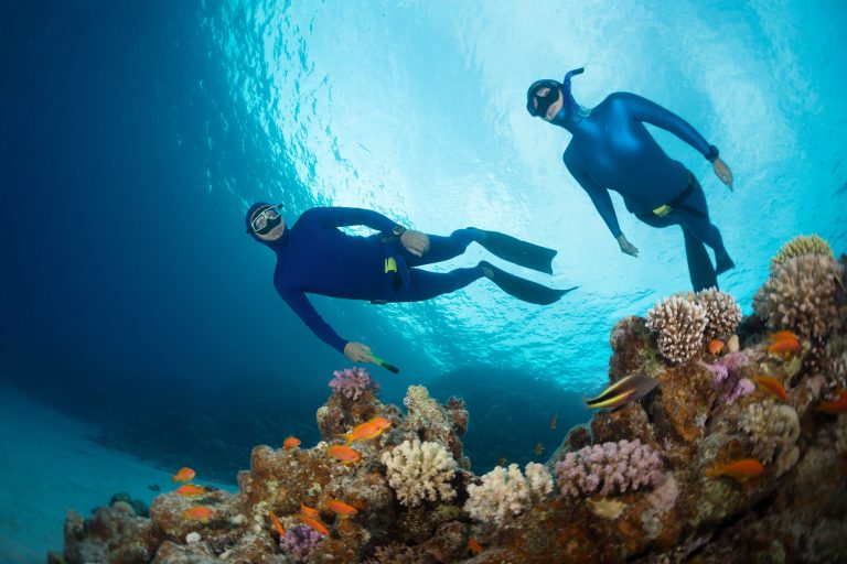 Two free divers swimming over vivid coral reef in the Red Sea. Egypt.