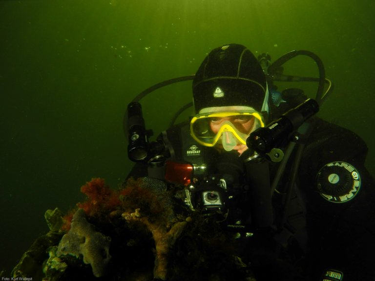 OBK 2015 – Breedhoek met model Juniors 7e plaats. Foto: Kurt Wullepit.