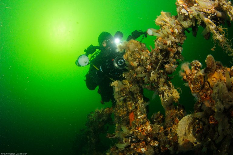 OBK 2015 – Breedhoek met model Juniors 3e plaats. Foto: Christiaan Van Roeyen.