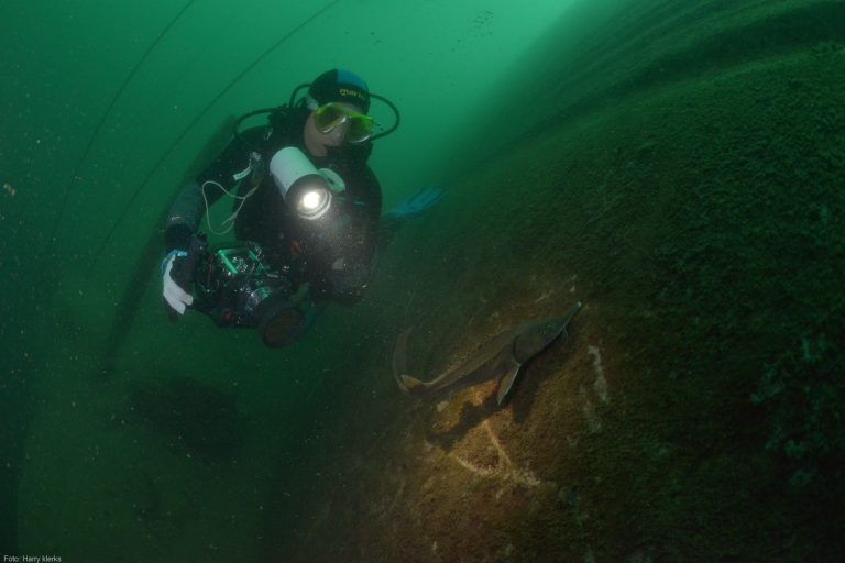 OBK 2015 – Breedhoek met model Masters 10e plaats. Foto: Harry klerks.