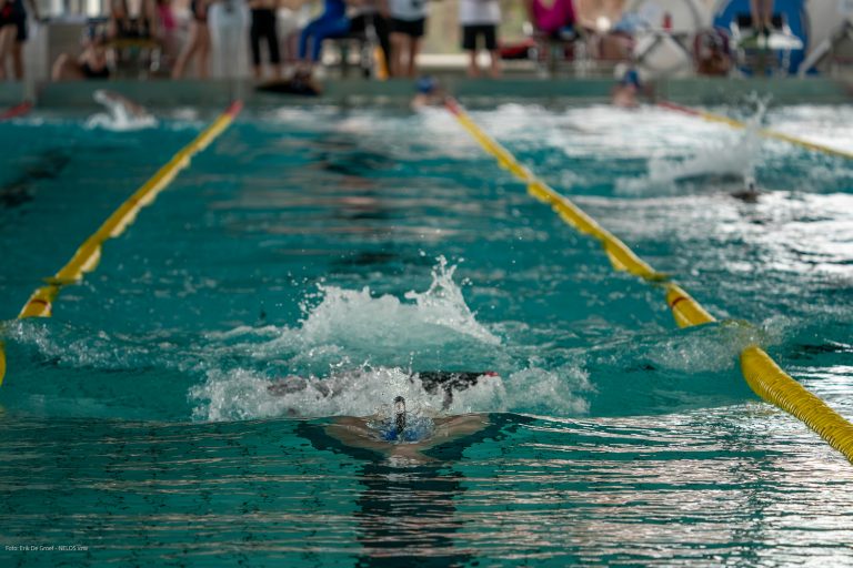 Open Belgisch Kampioenschap vinzwemmen 2024